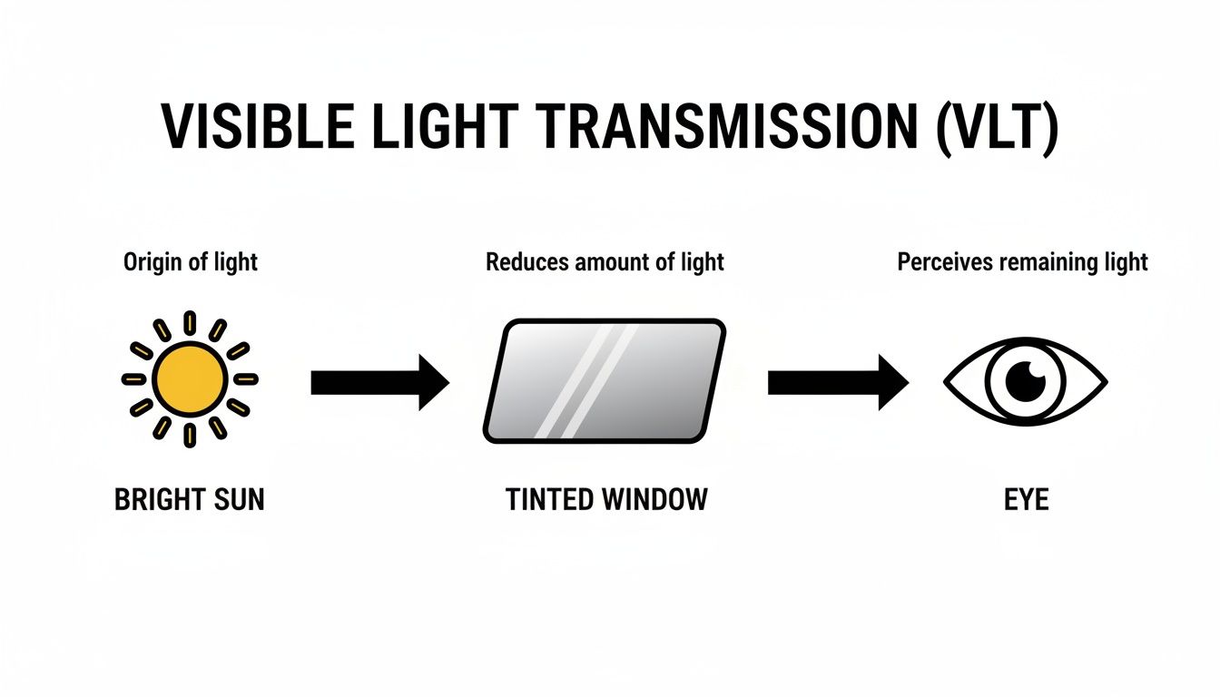 A diagram explaining Visible Light Transmission (VLT) from a bright sun through a tinted window to an eye.