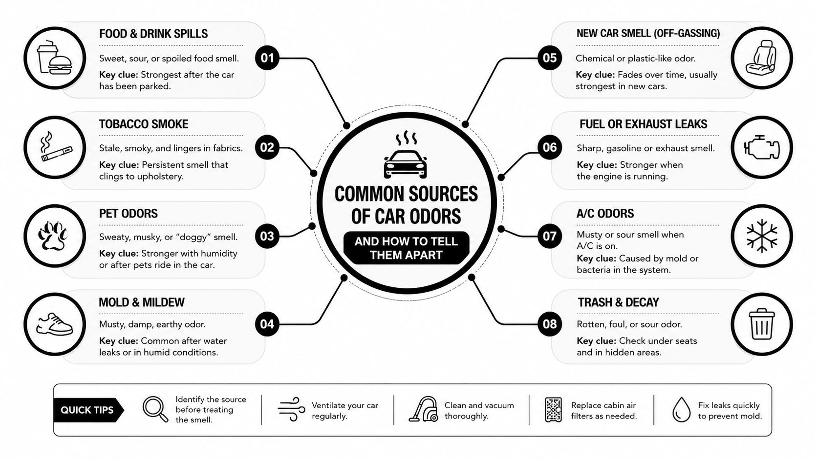 Odor Removal Service: What Pros Actually Do to Your Car 1 An infographic showing eight common sources of car odors and tips for identifying and eliminating vehicle smells.
